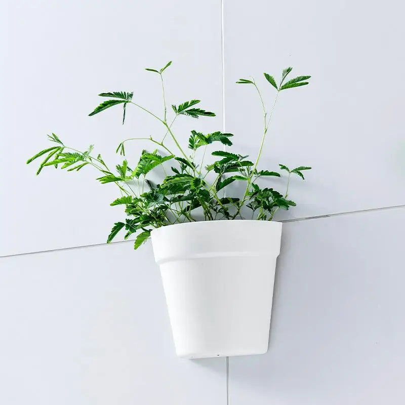 Wall Mounted Plastic Potted Plant Flowerpot